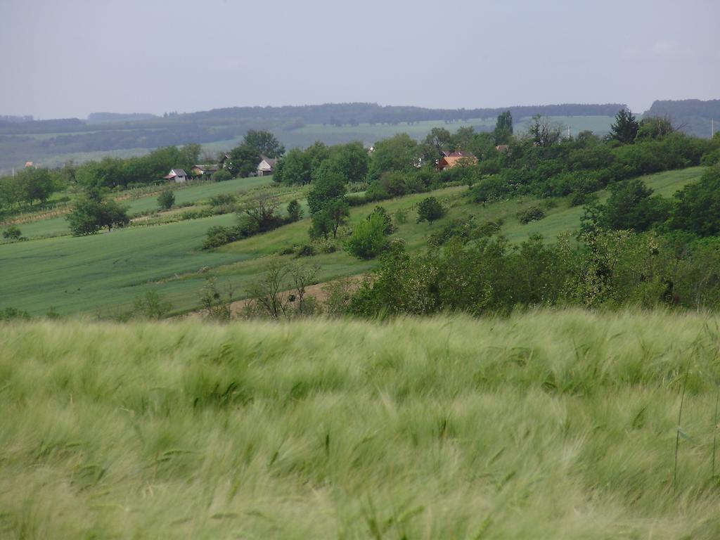 Вилла Nyugalomsziget Nyaralohaz Zalaszentlaszlo Экстерьер фото